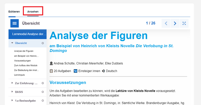 Vorschaumodus
